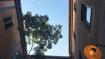外部細節