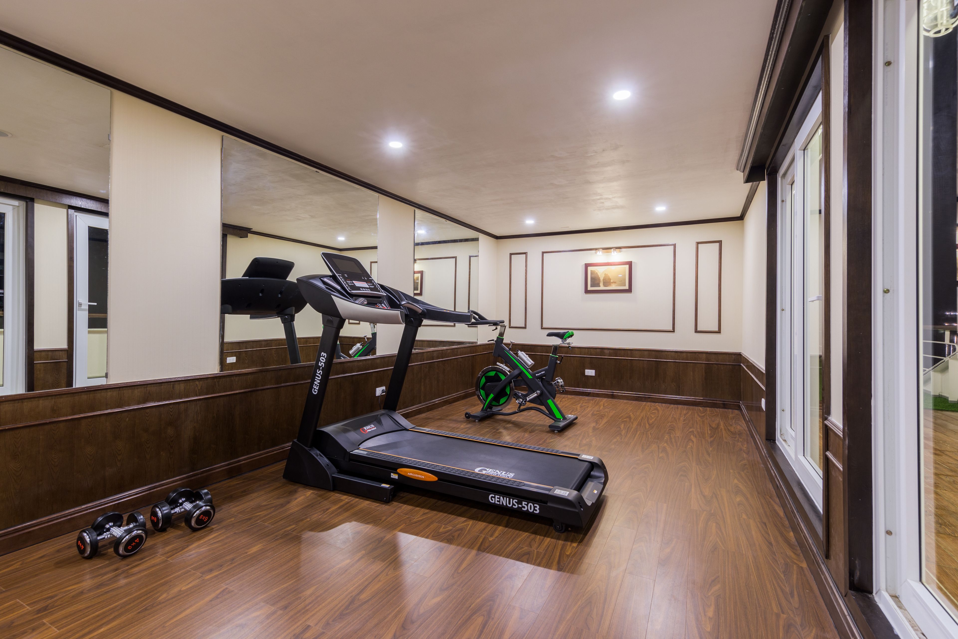 A gym with a treadmill, stationary bike, and dumbbells.