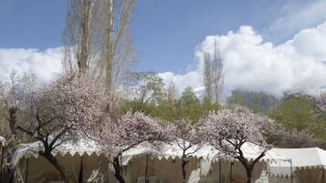 Bagian depan properti