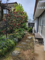 Vista al jardín