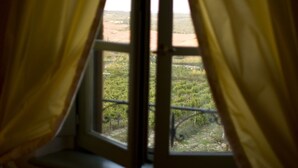A window with curtains partially drawn, revealing a vineyard landscape outside. - Villa Il Castagno Wine & Resort (Siena)