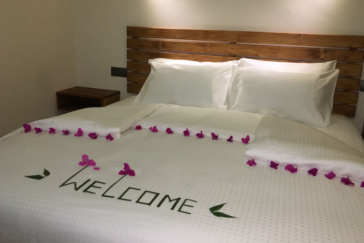 Habitación doble estándar, 1 cama Queen size | Ropa de cama de alta calidad y minibar