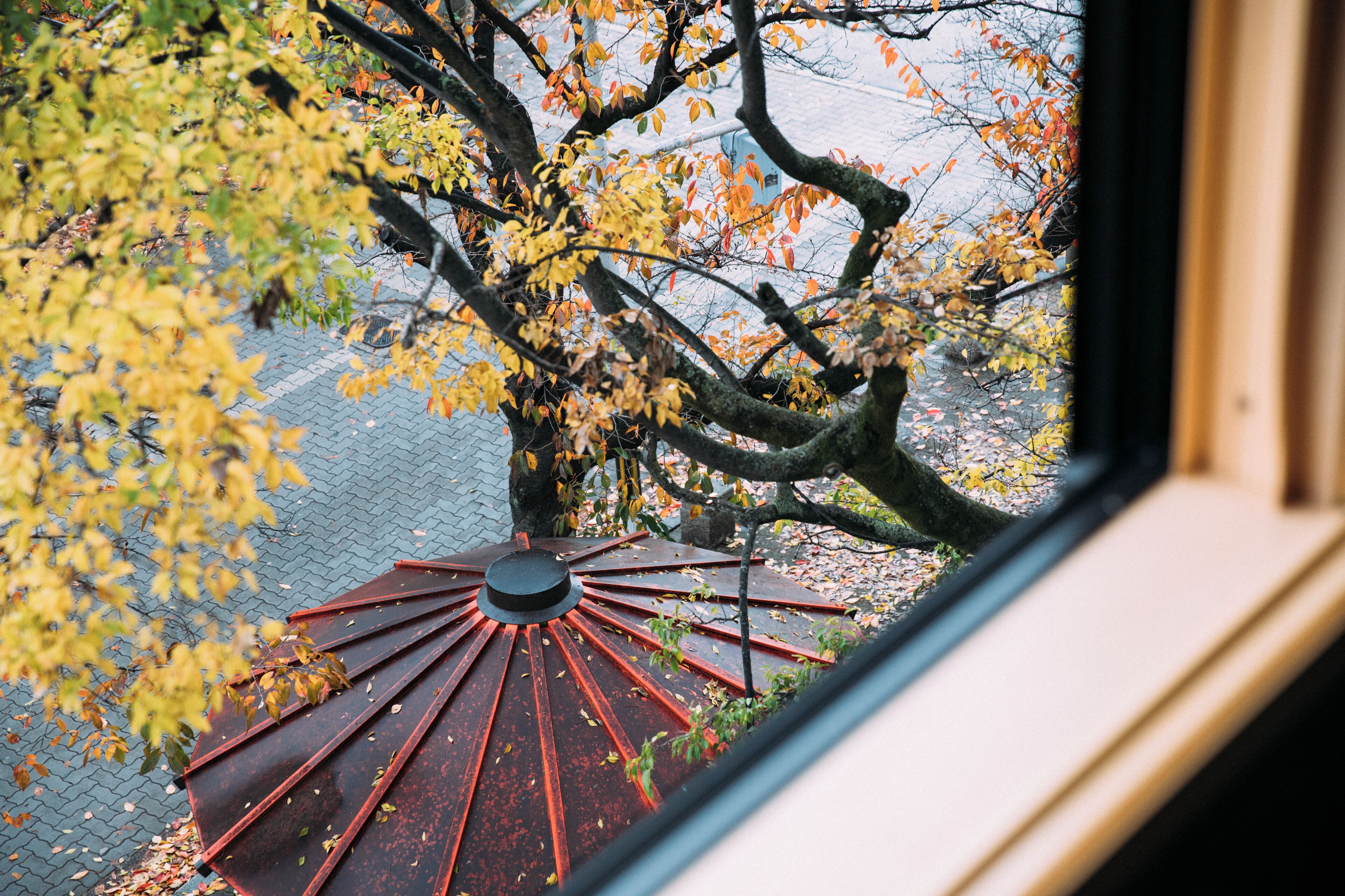 premium twin room, river view, corner | view from room