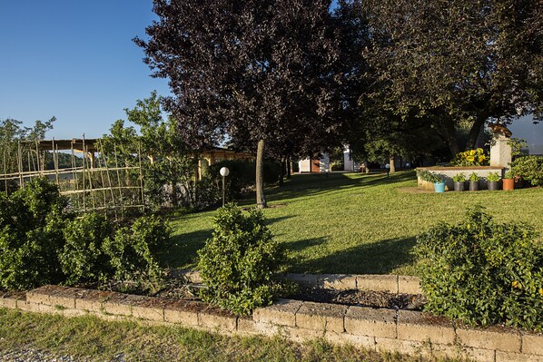 A well-maintained garden with a wooden pergola, a stone bench, and a variety of shrubs. - Agriturismo Il Fontanile (Manciano)
