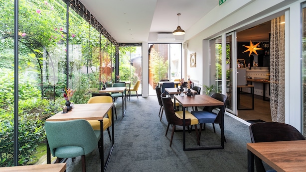Un comedor moderno con ventanas amplias, plantas de interior y una mezcla de sillas de madera y tapizadas.