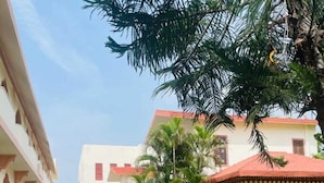 A pathway leading to a building with a tiled floor and a garden with palm trees. - Sajjan Bagh Resort (Pushkar)
