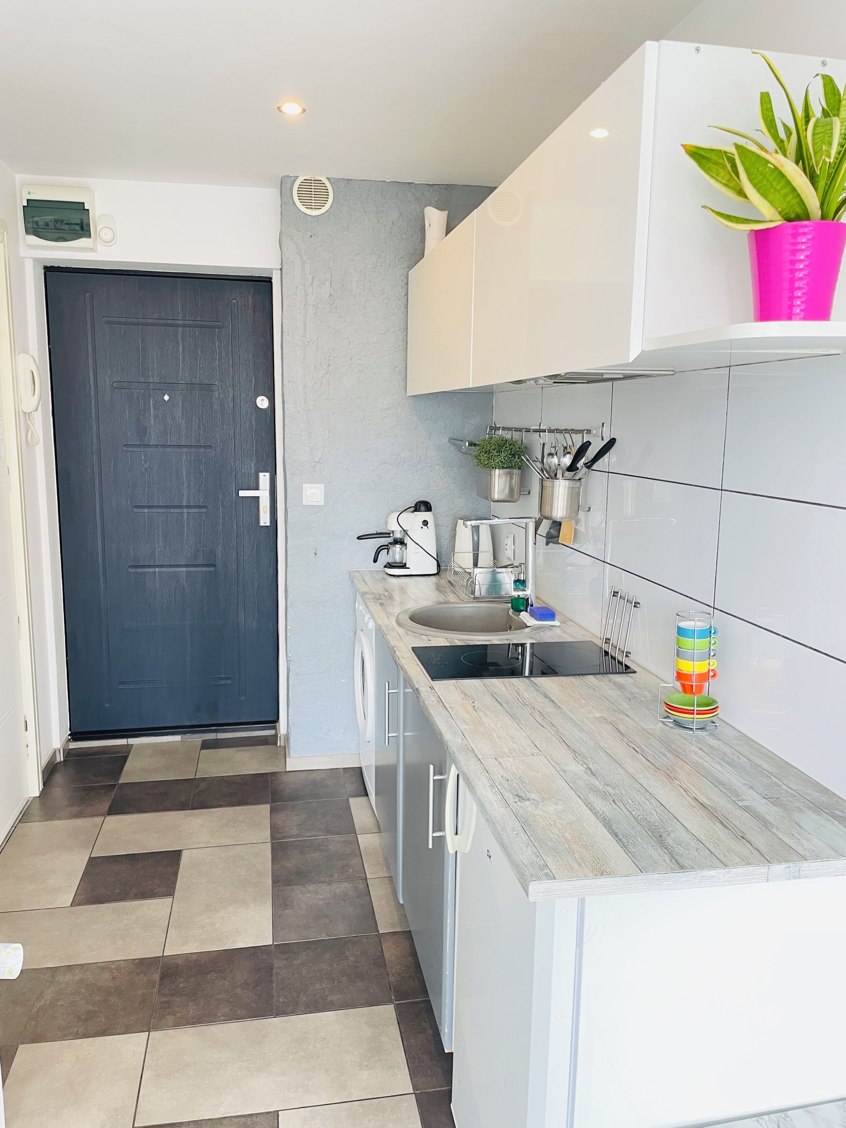 A modern kitchen with a dark door, white cabinets, a sink, and a potted plant.