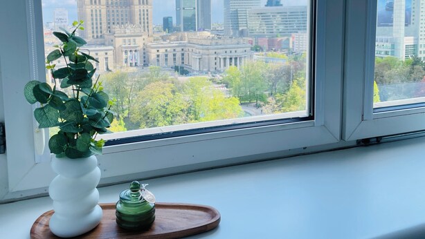 A window with a view of a cityscape, a potted plant, and a small green bottle on a tray. - Good Time Apartments (Warsaw)