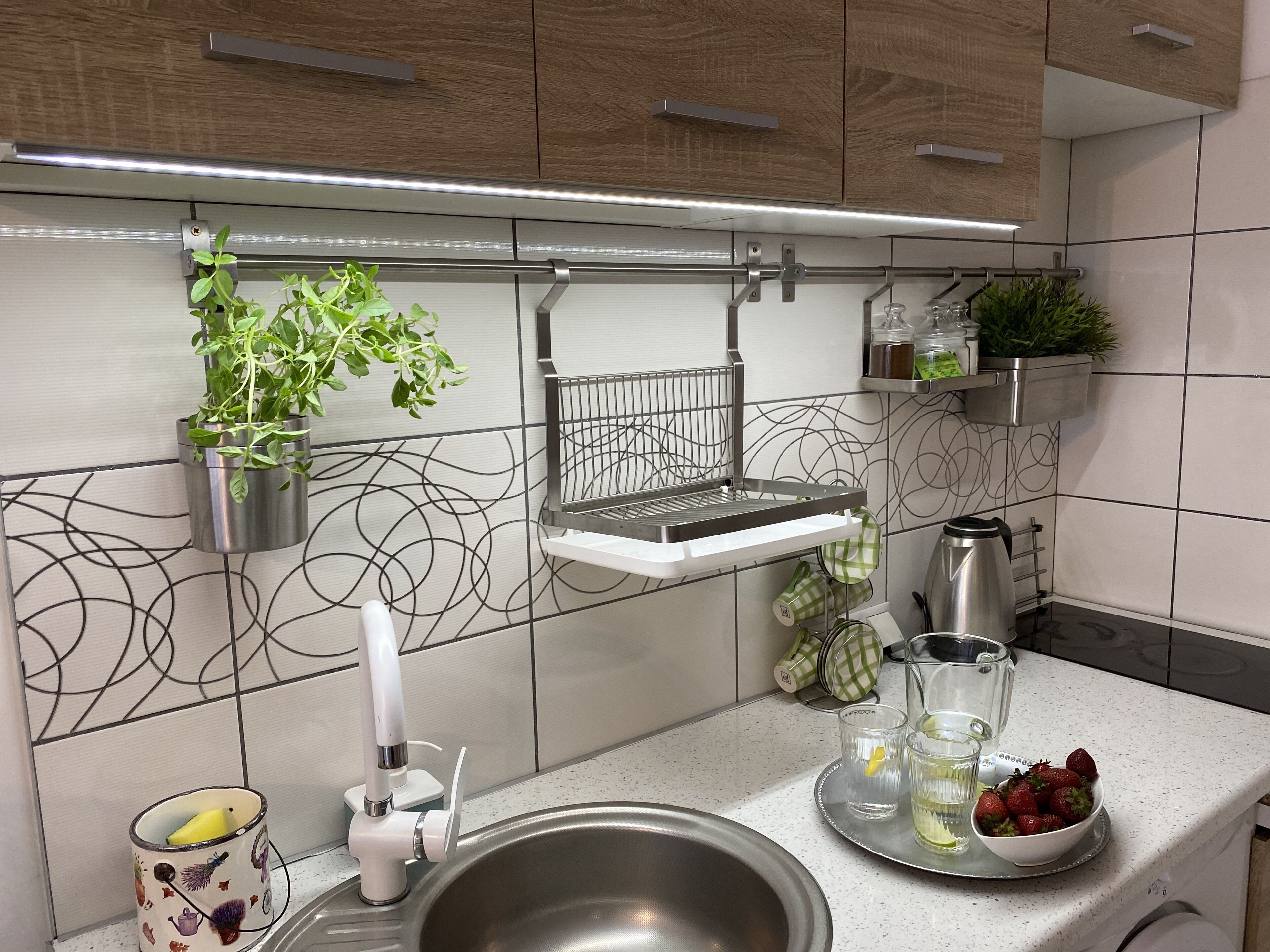 A modern kitchen with a stainless steel sink, a hanging plant, a metal drying rack, and a shelf with kitchen items.