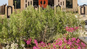 A multi-story building with a central glass facade, balconies on each floor, and a decorative archway at the entrance. - Arabella Residence (New Cairo)