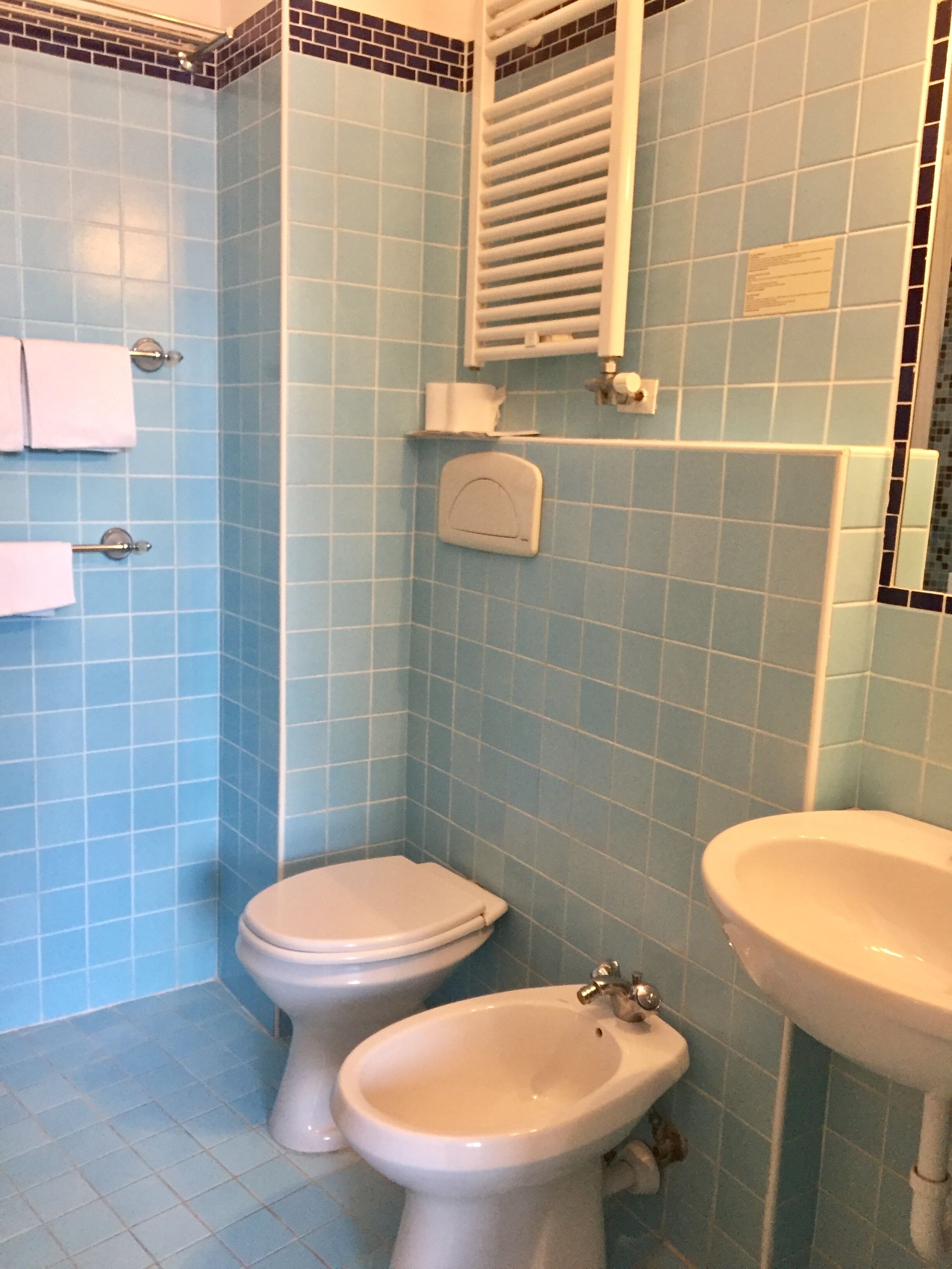 single room | bathroom | hair dryer, bidet, towels