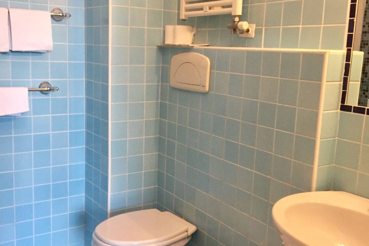 single room | bathroom | hair dryer, bidet, towels