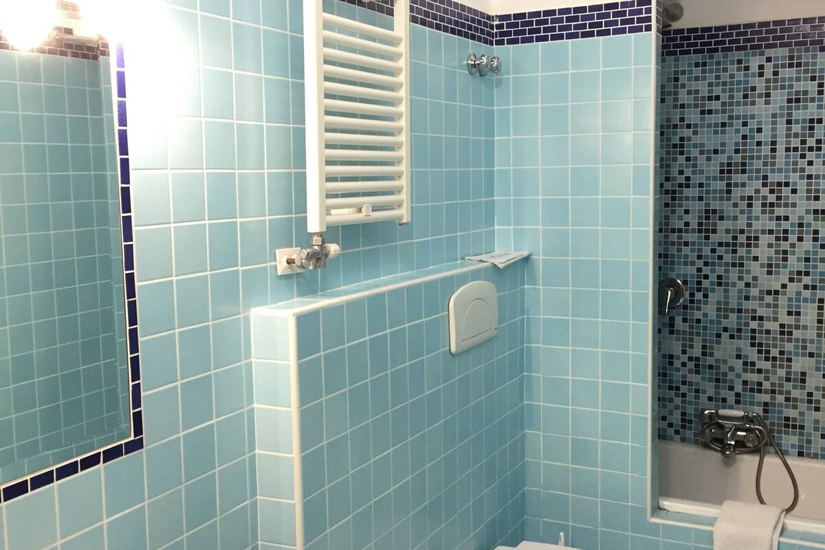 superior double room, balcony | bathroom shower