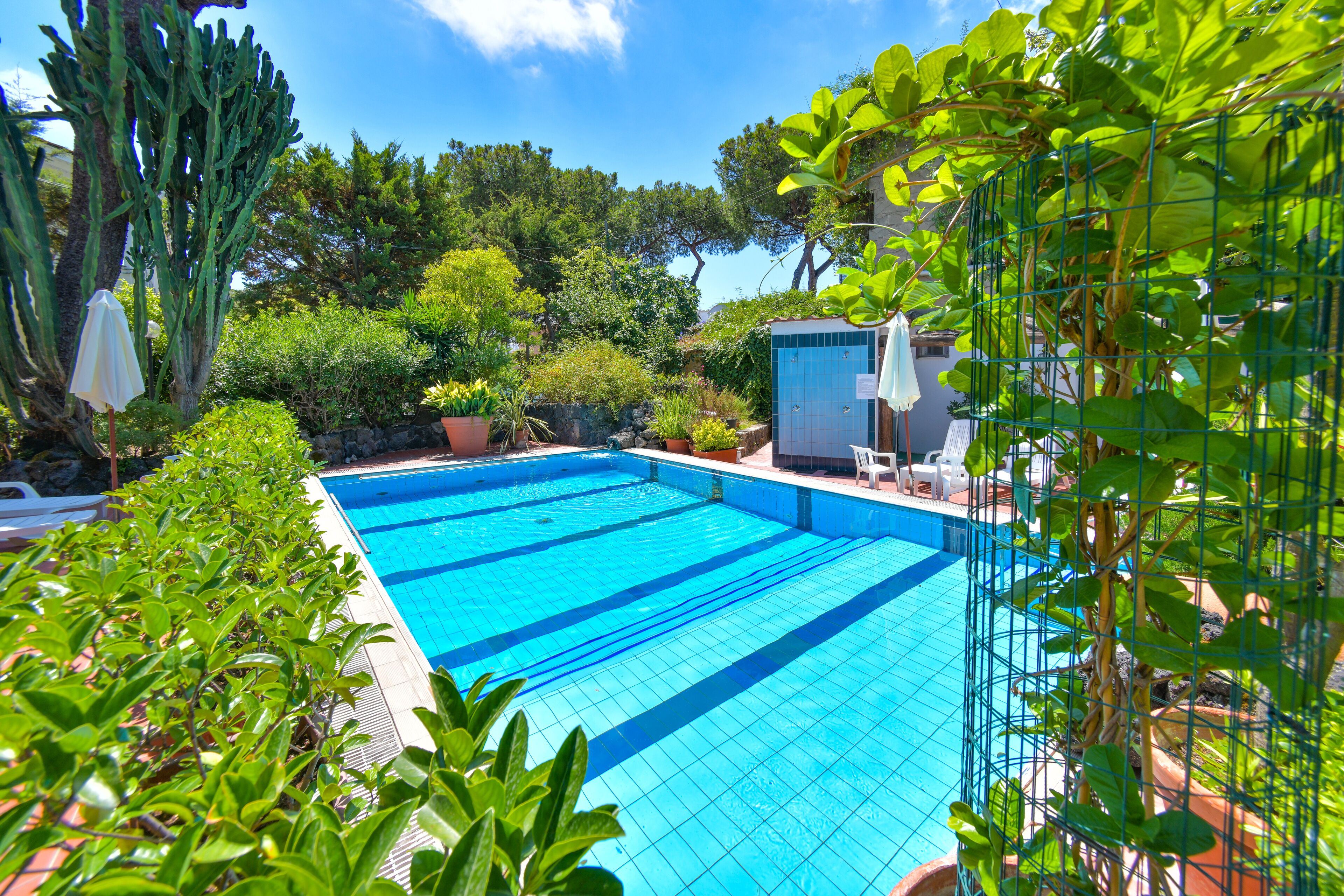 seasonal outdoor pool, open 8 am to 7 pm, pool loungers