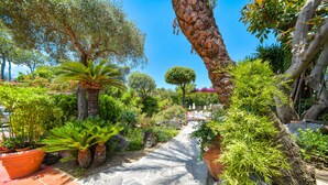 A garden pathway with various plants and trees. - Hotel Pineta (Ischia)