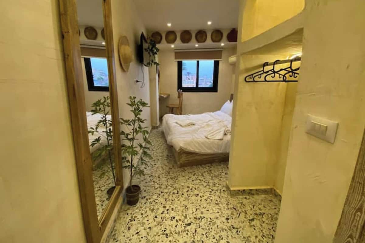 A bedroom with a bed, a mirror, a potted plant, and a window.