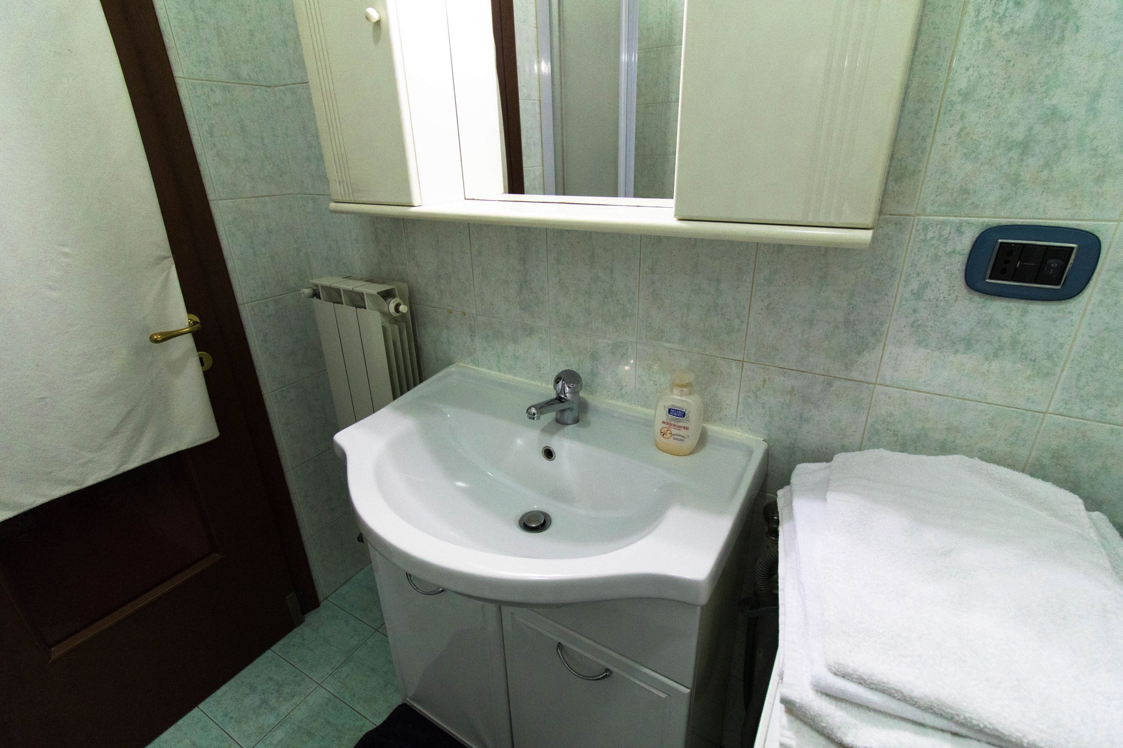 A bathroom with a white sink, a mirror above it, a towel rack, and a bottle of hand soap.