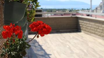 Uma varanda com plantas em vasos e flores vermelhas, com vista para uma paisagem urbana que inclui uma mesquita e montanhas ao longe.