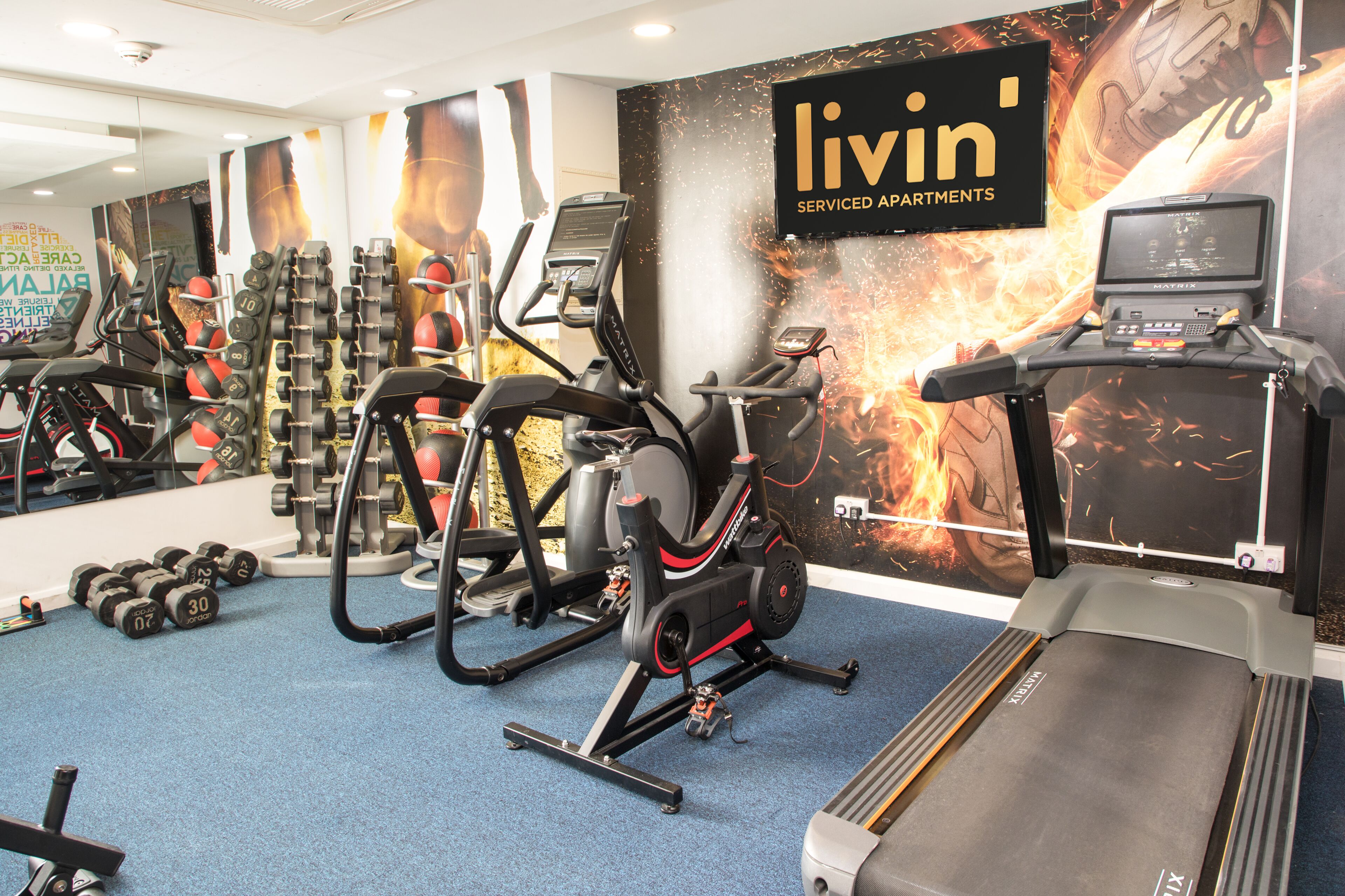A gym with treadmills, elliptical machines, and free weights.