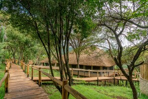 1 habitación, minibar y caja de seguridad en la habitación