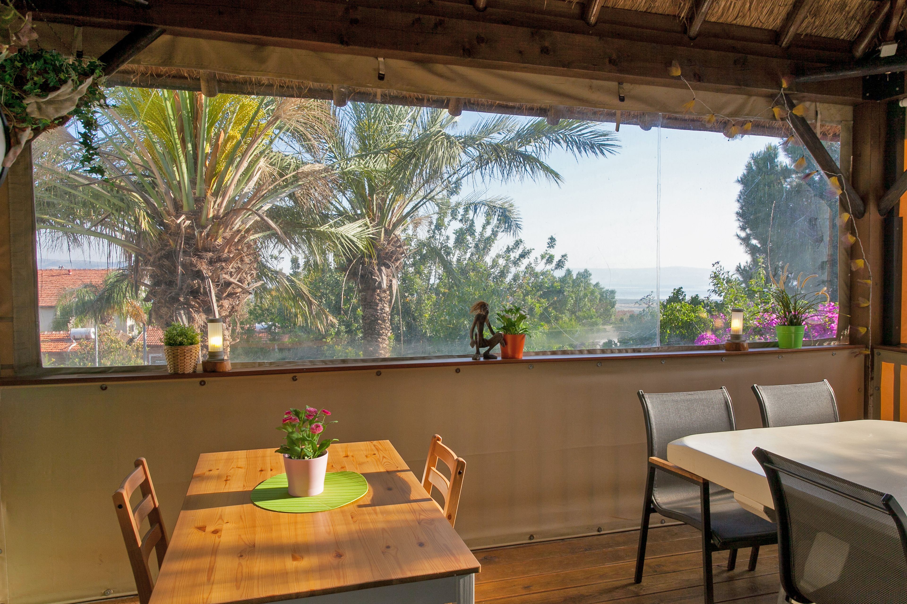 A wooden dining table with chairs, a potted plant, and a view of palm trees and a building through a window.