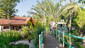 A wooden pathway leading to a building with a tiled roof, surrounded by lush greenery and palm trees. - Out of Africa Sea of Galilee Resort (Had Nes)