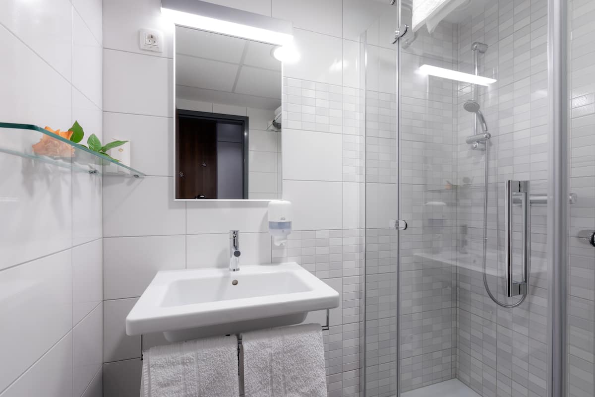 shower, free toiletries, hair dryer, slippers