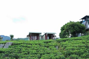 A building with a green roof, situated on a hillside with lush greenery. - Cool Mount Resort (Ballaketuwa)