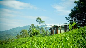 Garden - Cool Mount Resort (Ballaketuwa)