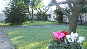 A garden with a tree and a flower bed with pink and white flowers. - Maison Blanche (Pompei)