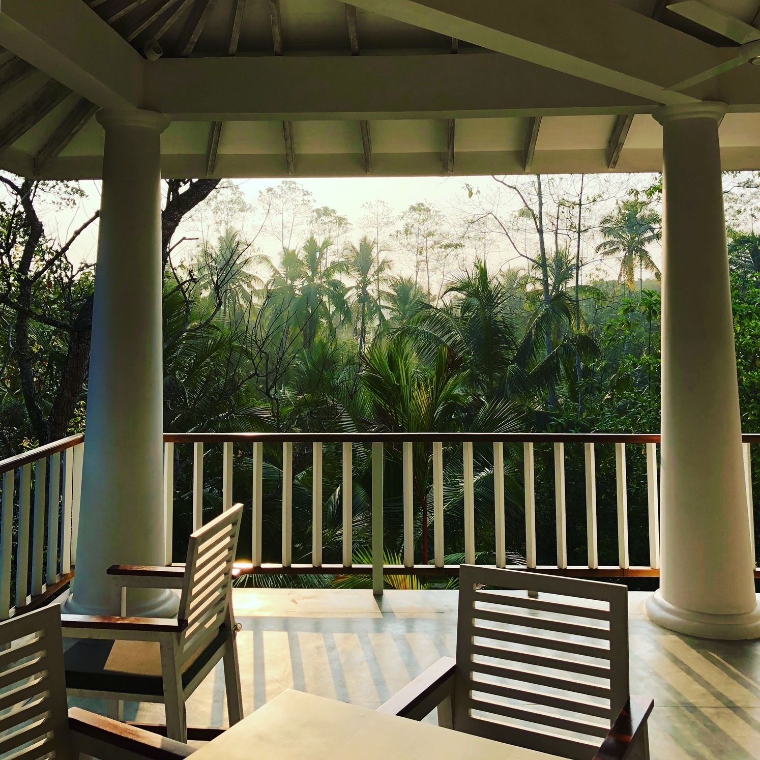 A covered outdoor seating area with white columns and a railing, overlooking a lush tropical garden with palm trees.