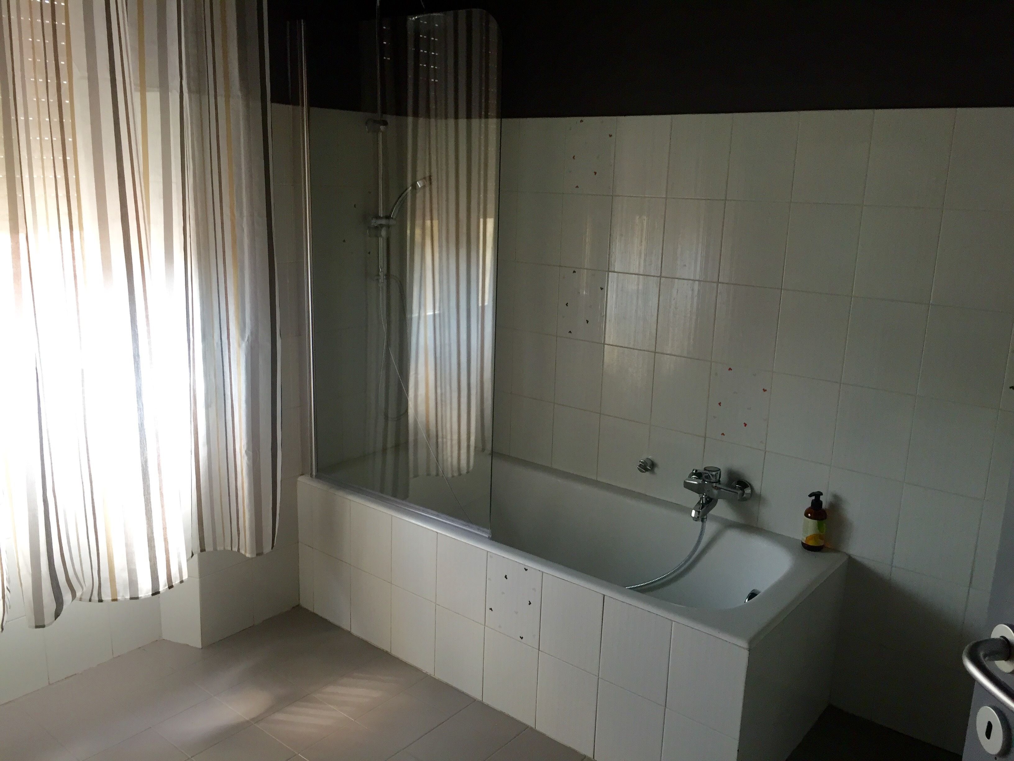 Combined shower/bathtub, free toiletries, hair dryer, bidet