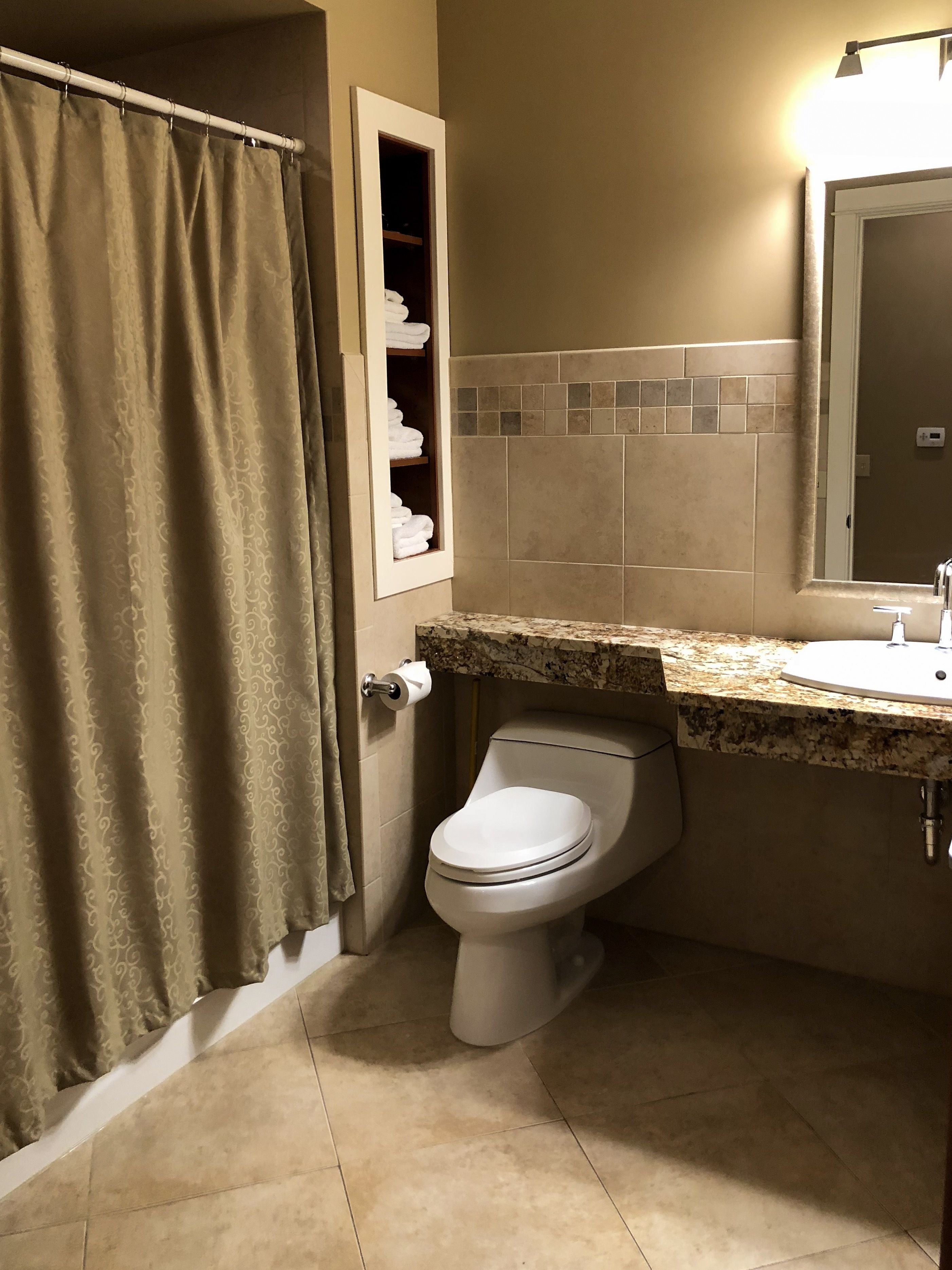 combined shower/bathtub, free toiletries, hair dryer, towels