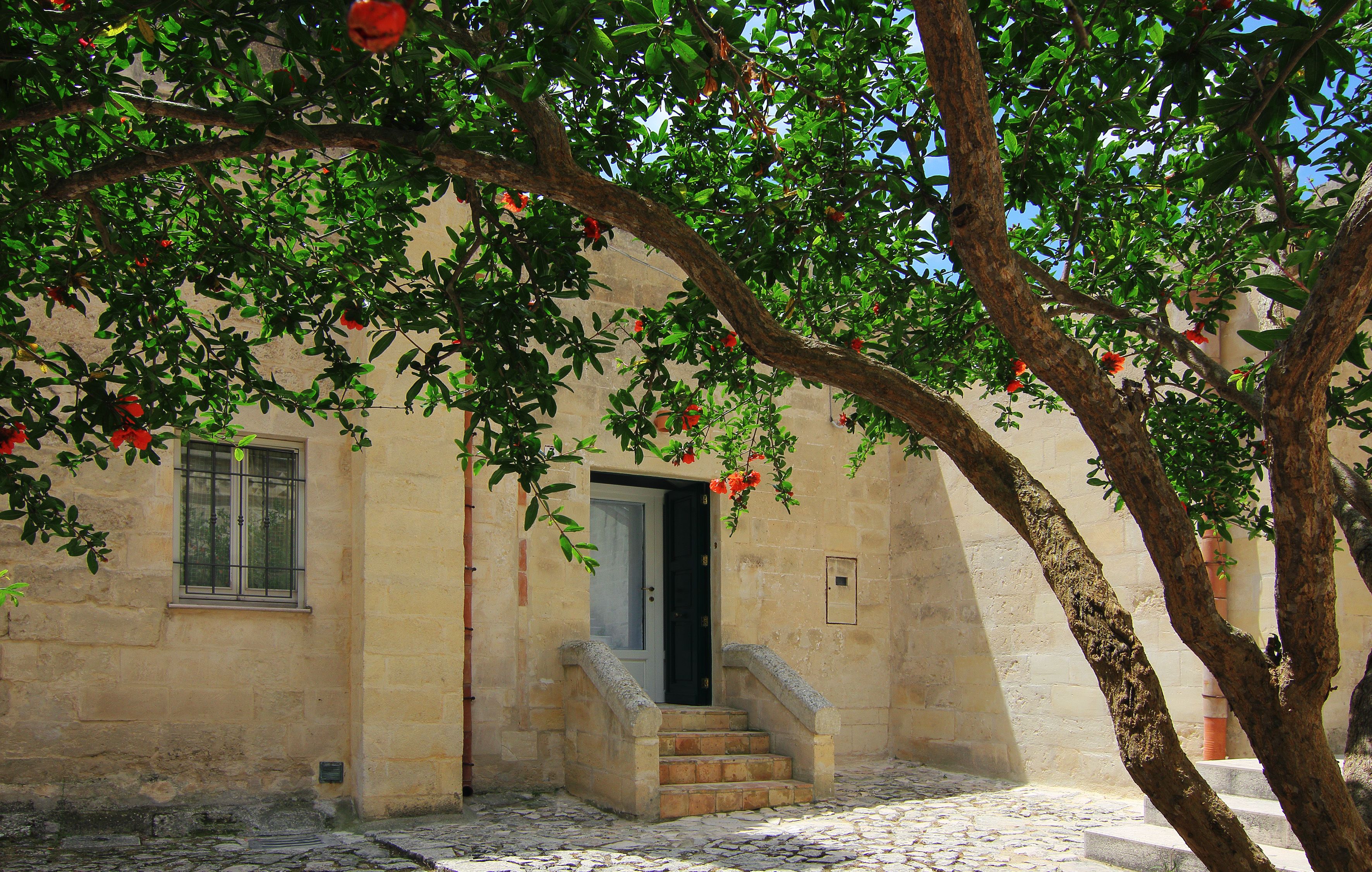 Photo - Piano Piano - Rooms