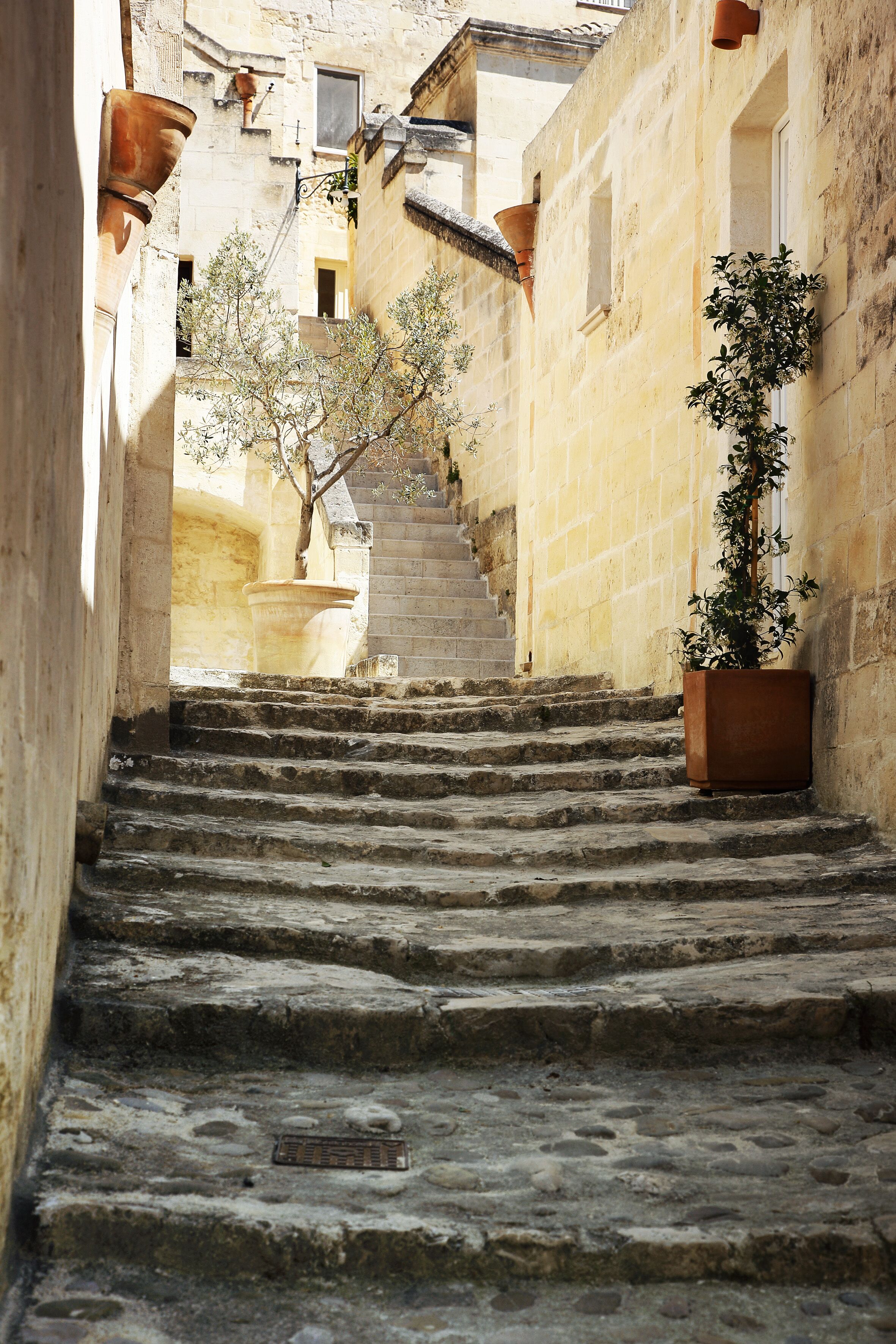 Photo - Piano Piano - Rooms