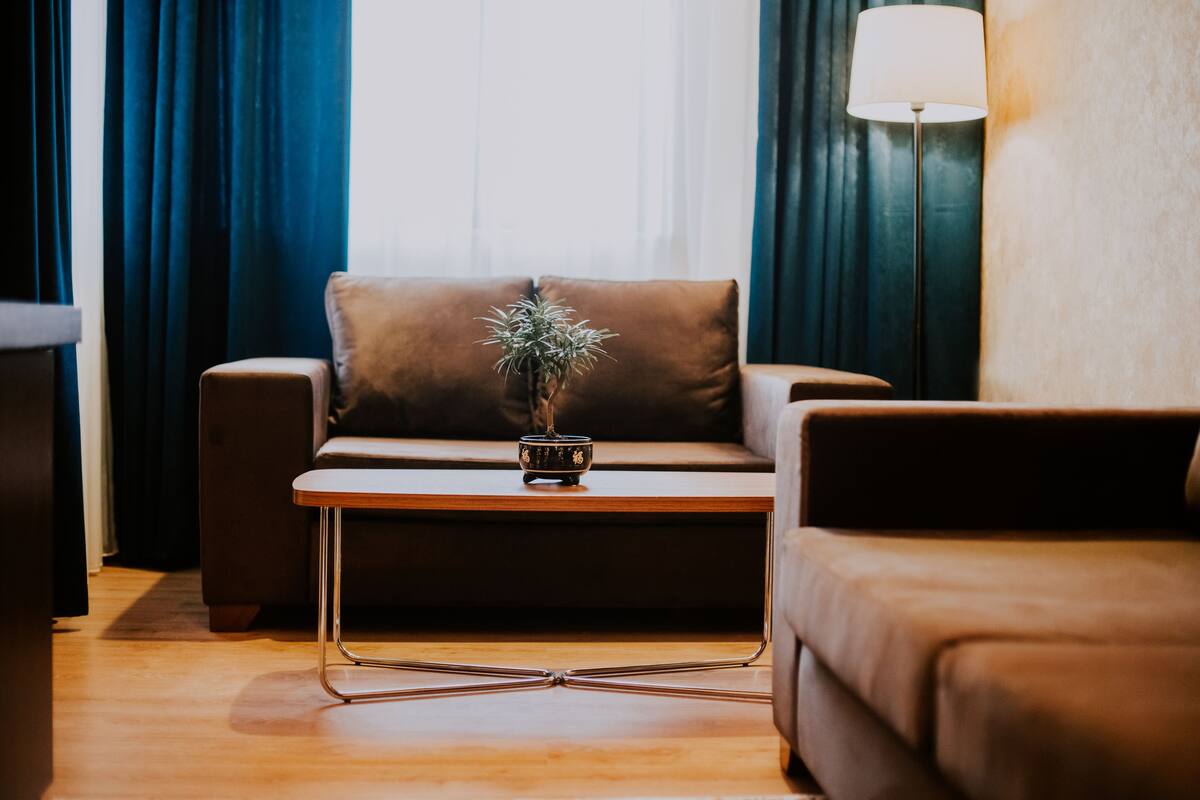 Un salon moderne avec un canapé, une petite table sur laquelle est posée une plante, et une lampe.