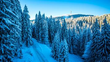 A snow-covered forest with a clear sky and a distant tower.