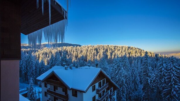 Un edificio con varios balcones que dan a un bosque cubierto de nieve.