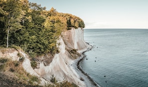 A coastal landscape with a cliff, dense forest, and a calm sea. - Parkhotel Putbus(Adults Only) (Putbus)
