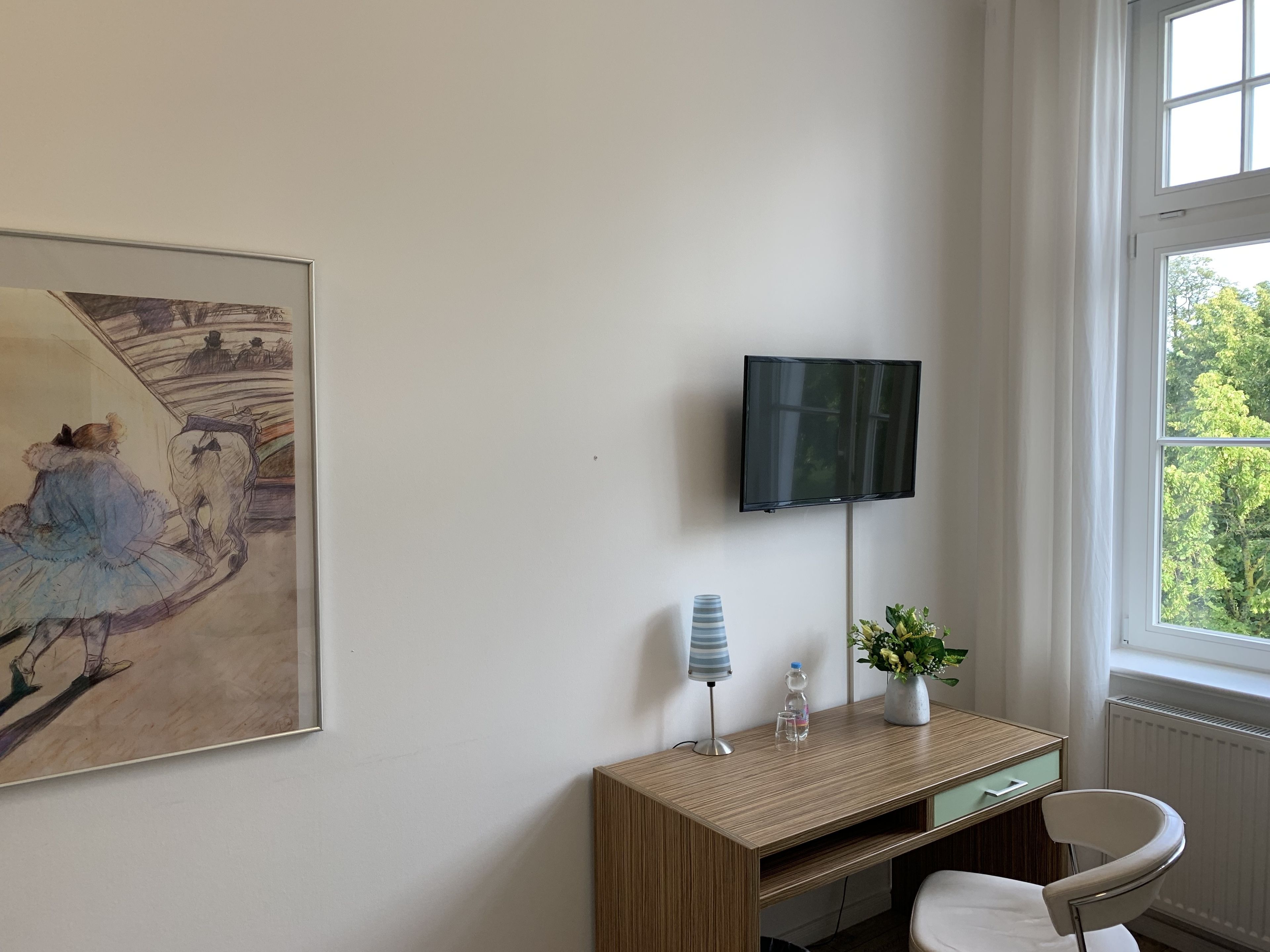 standard single room | 1 bedroom, premium bedding, desk, blackout curtains