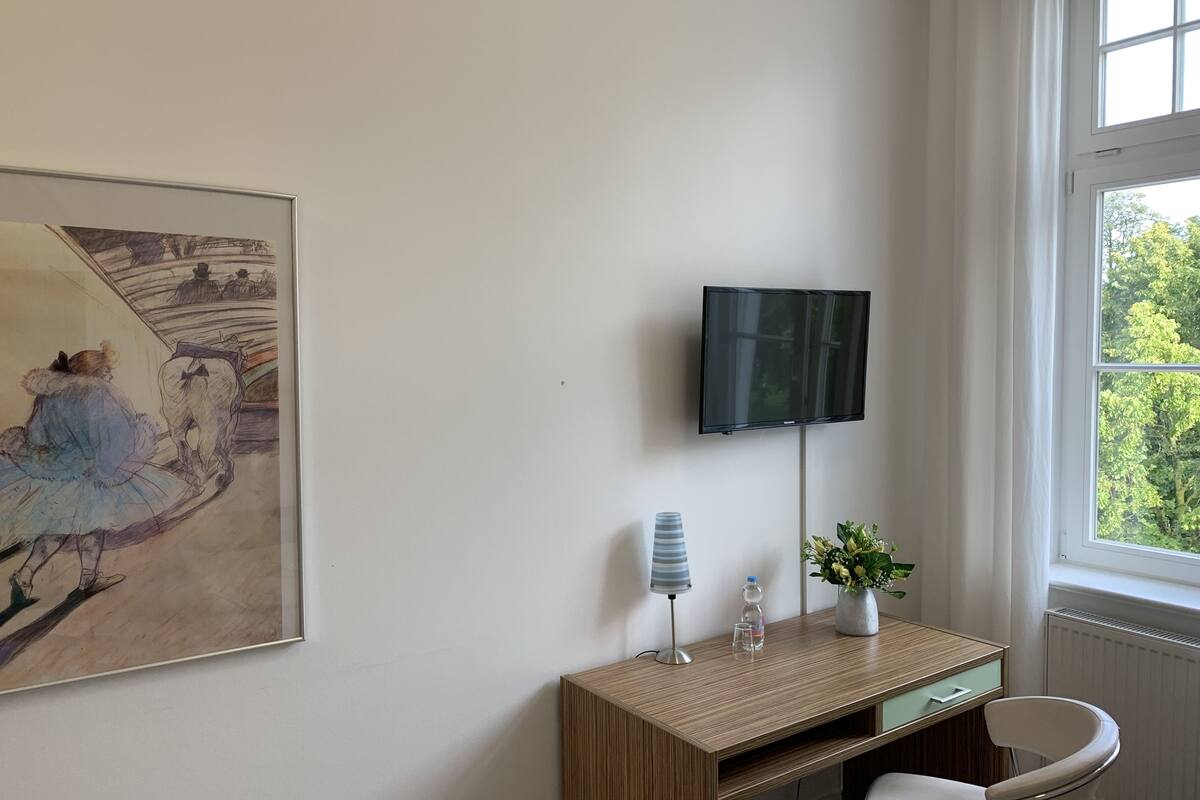 standard single room | 1 bedroom, premium bedding, desk, blackout curtains