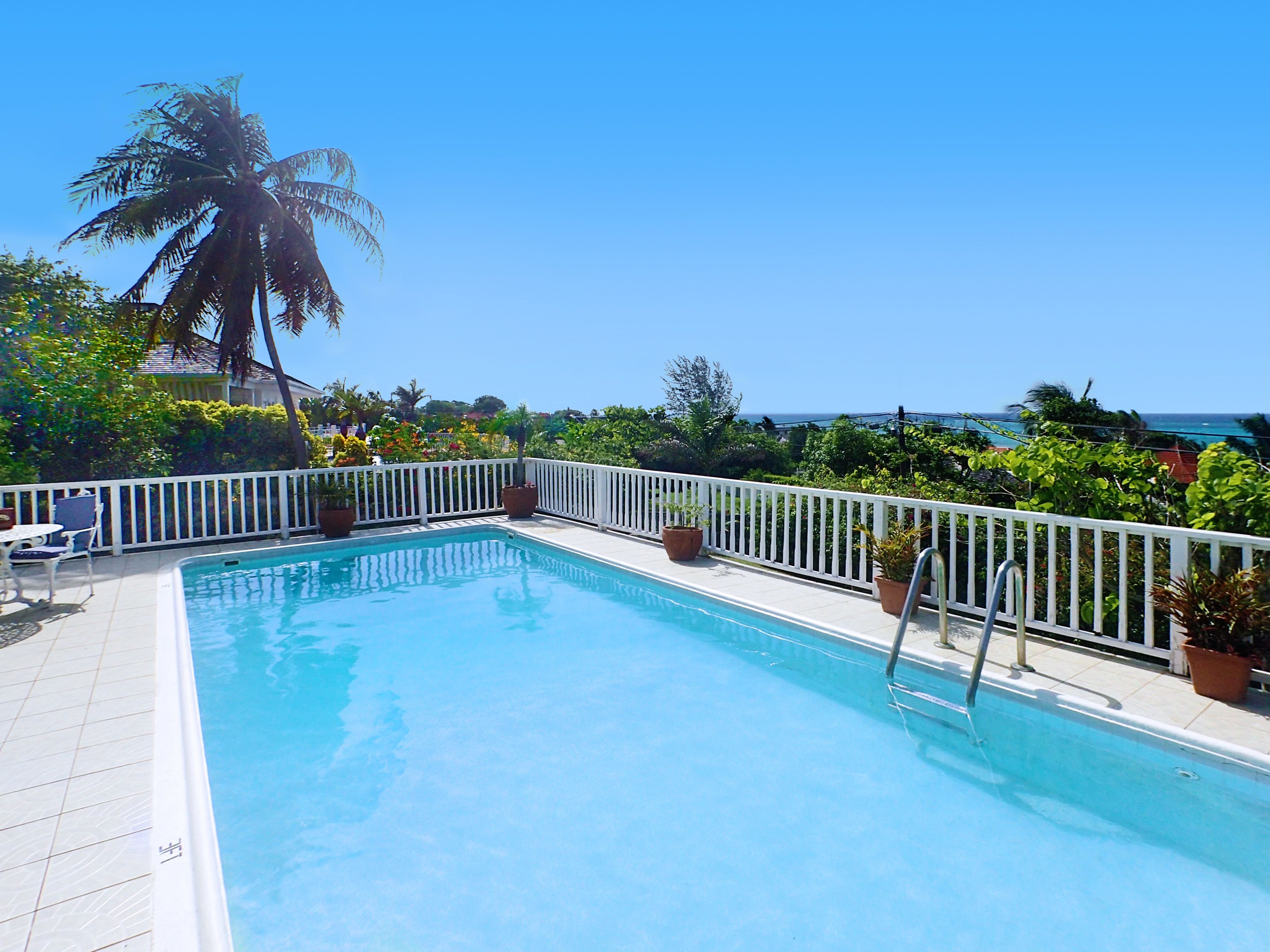 Une piscine rectangulaire dotée d’une terrasse et d’une balustrade blanches, entourée de plantes en pot et de palmiers, et offrant une vue sur l’océan.