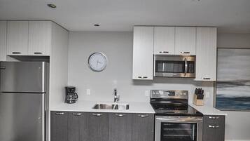 Full-size fridge, microwave, oven, stovetop