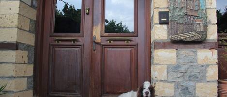 A dog lying in front of a wooden double door with a stone wall and a decorative metal piece above it.