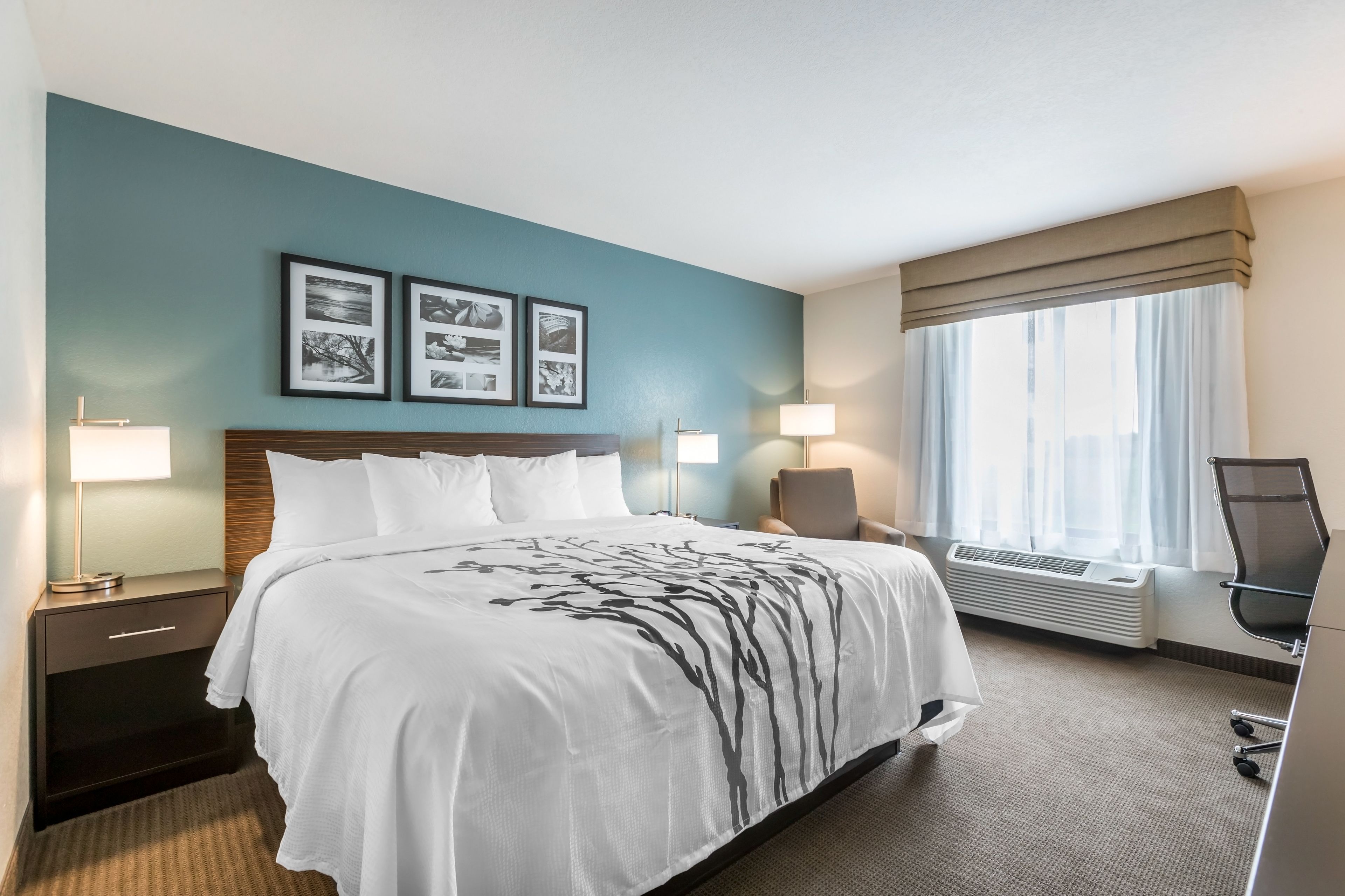 A hotel room with a bed, two bedside lamps, a chair, a desk, and a window with curtains.