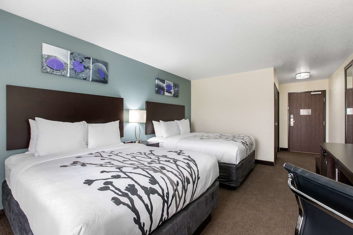 A hotel room with two beds, a dark headboard, a nightstand, a lamp, and a mirror.