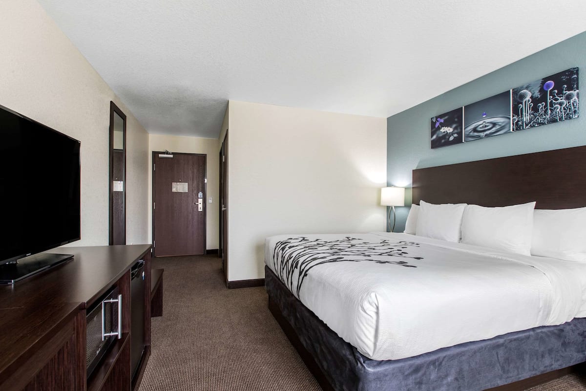 A hotel room with a large bed, a flat-screen TV, a wooden dresser, and a wall-mounted artwork.
