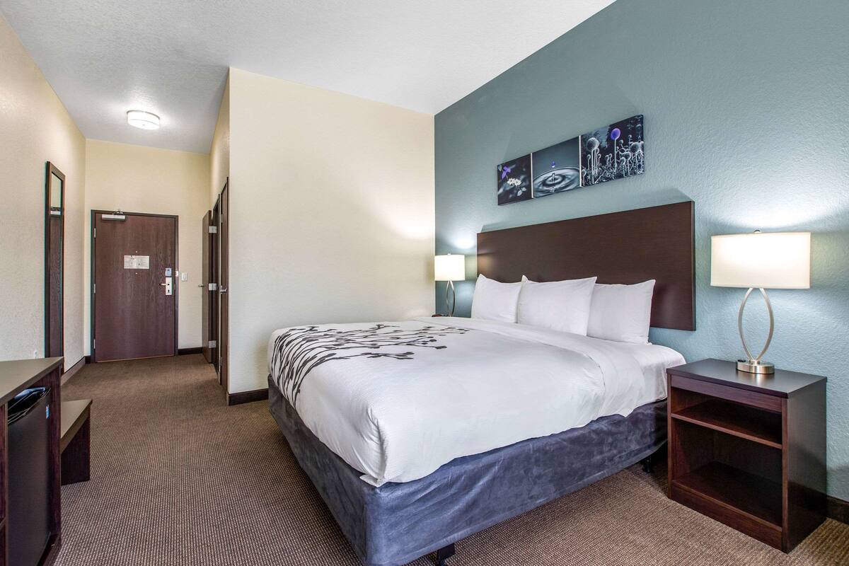 A hotel room with a large bed, two bedside tables with lamps, a desk, and a door.