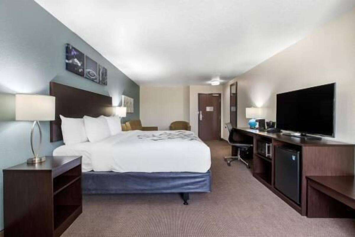 A hotel room with a bed, desk, chair, television, and artwork on the wall.