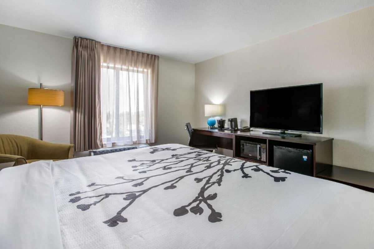 A hotel room with a large bed, a television, a desk with a lamp, and a window with curtains.